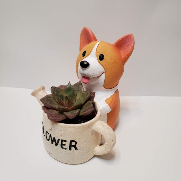 Corgi Planter with Echeveria Succulent, Dog with Watering Can, Animal Planter - Picture 3 of 7